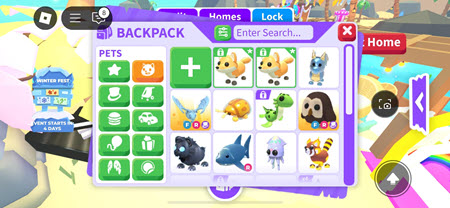 Adopt Me! Roblox Strategy Guide: House and Inventory Optimization, Image via: r/AdoptMeRBX