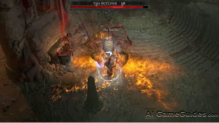 PvE Operations Guide for Diablo 4: Survival Tips, Image via: Blizzard Entertainment